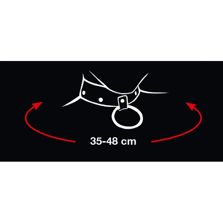 Collar and Leash