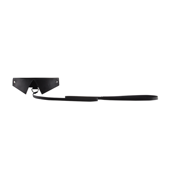 Exclusive Collar  Leash