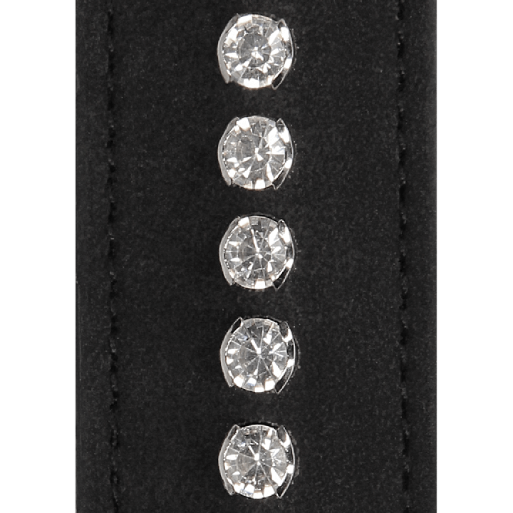 Diamond Studded Collar with Leash