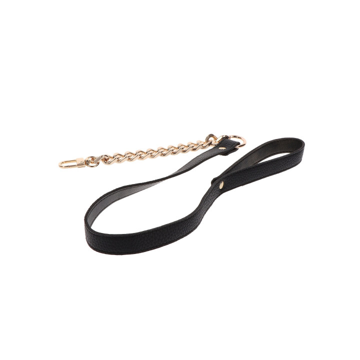Statement Leash
