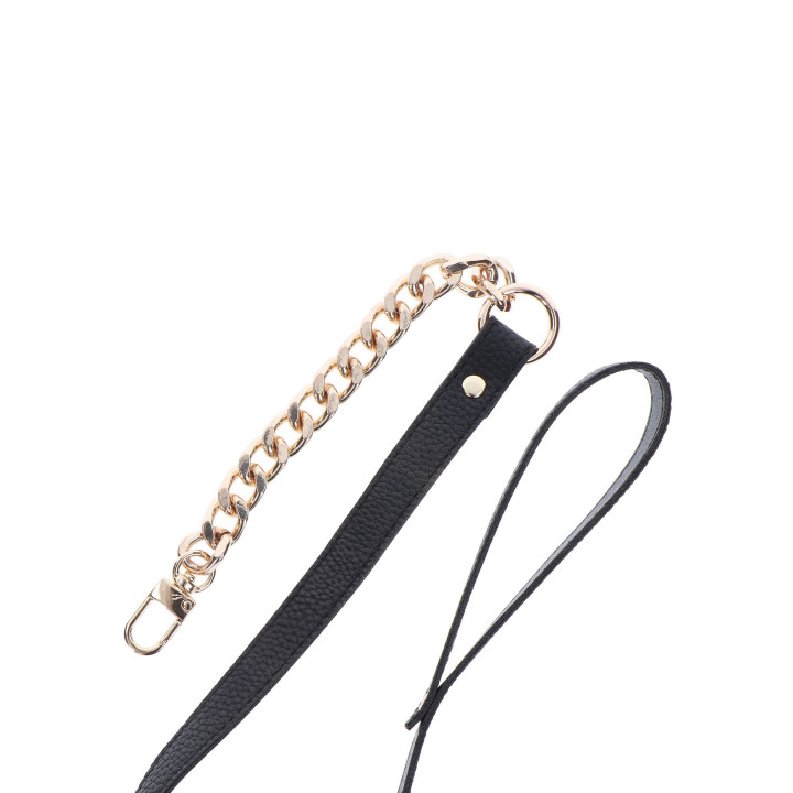 Statement Collar and leash