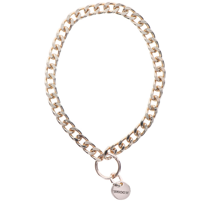 Statement Collar and leash