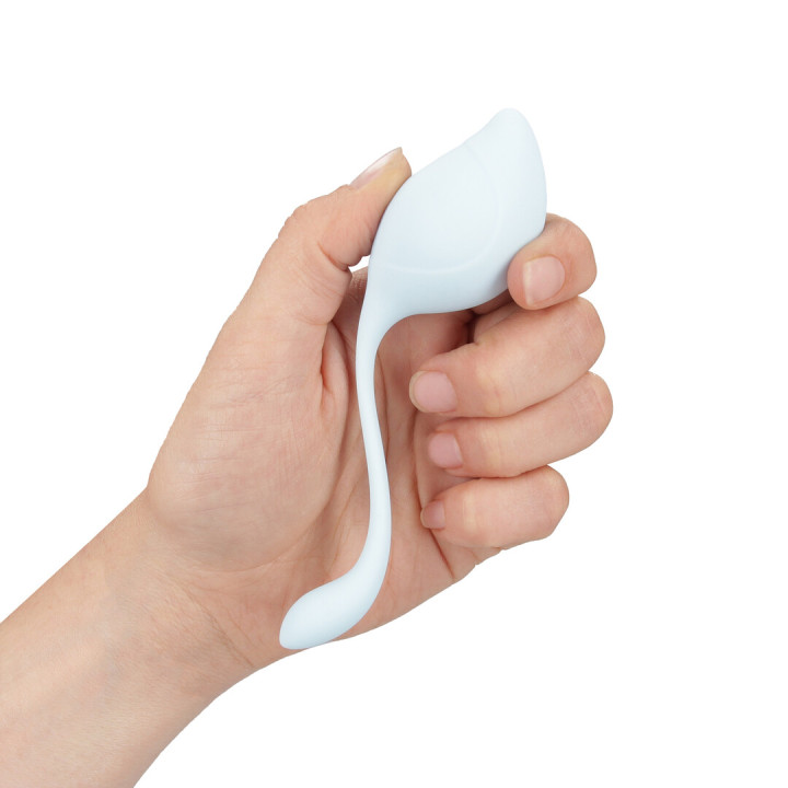 Pelvic Stem Kegel Kit - Multicolor