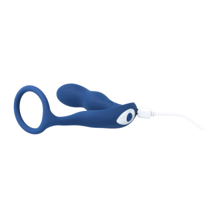 A6 REMOTE CONTROLLED PROSTATIC VIBRATOR