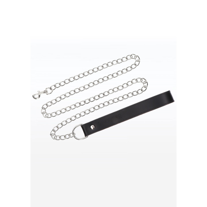 Chain Leash