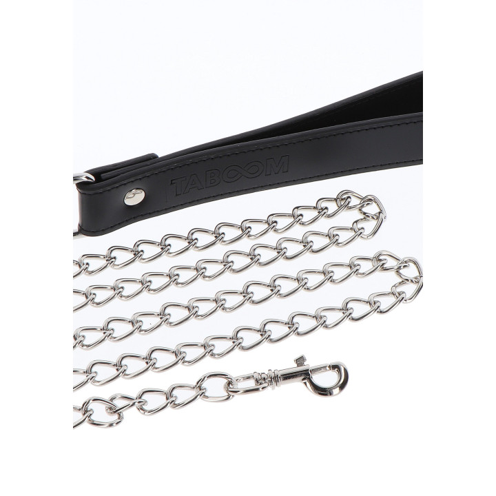 Elegant Collar and Chain Leash