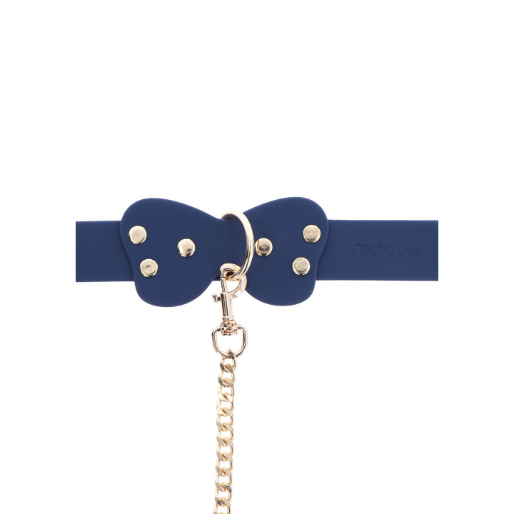 Silicone Collar and Leash