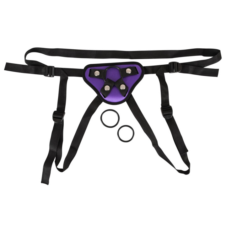 Universal Harness + 3 Rings